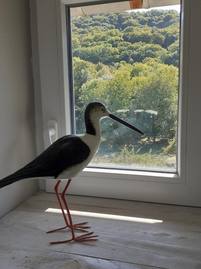 Apartamento La Grange Aux Oiseaux Arnaville Exterior foto